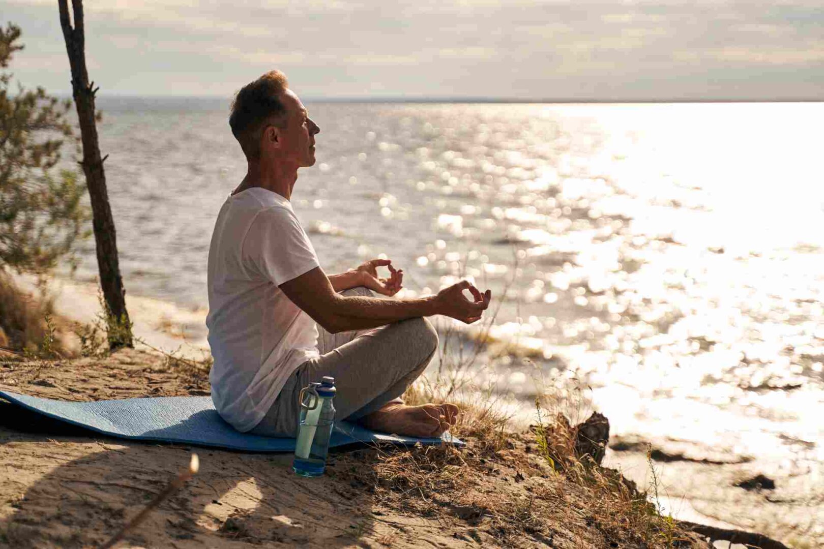 Somatic Emotional Release: What Science Reveals About Healing Mind and Body