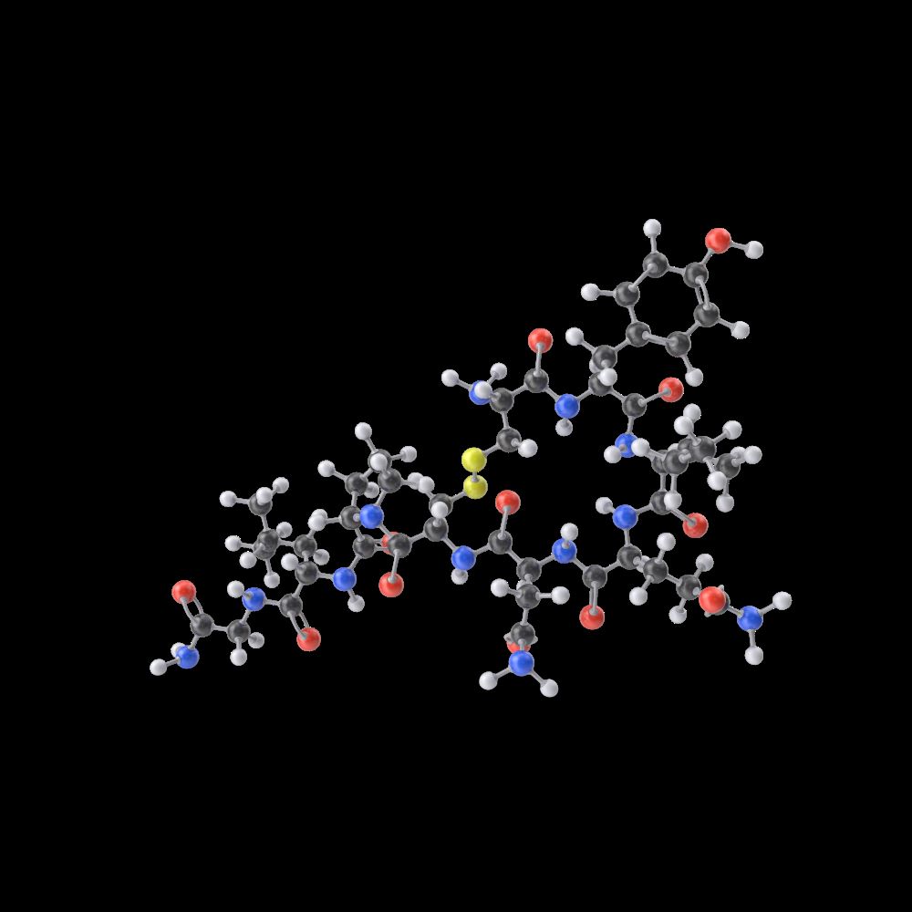 touch by trans in Darmstadt in Frankfurt What Actually Happens During Safe Touch (The Science Gets Wild)